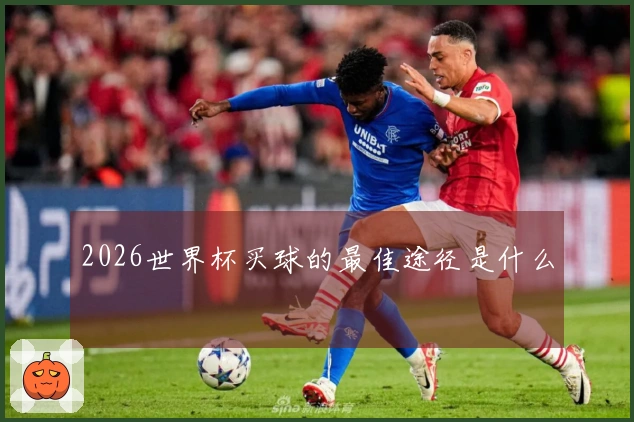 2026世界杯买球的最佳途径是什么
