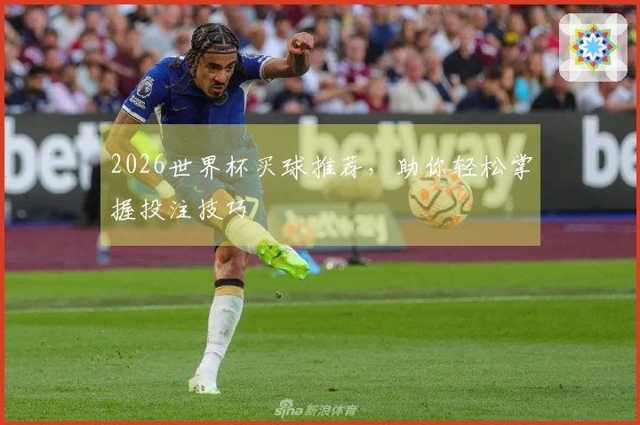 2026世界杯买球推荐，助你轻松掌握投注技巧