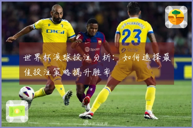 世界杯滚球投注分析：如何选择最佳投注策略提升胜率