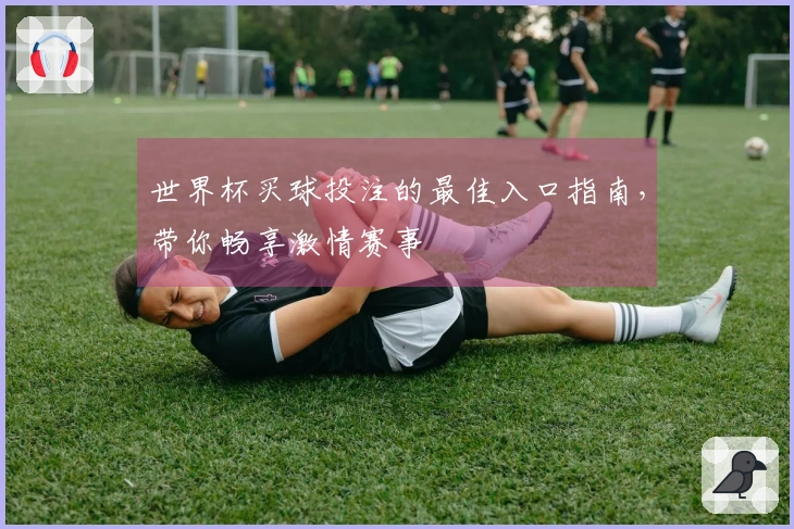 世界杯买球投注的最佳入口指南，带你畅享激情赛事