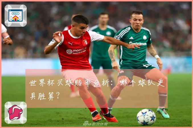 世界杯买球赔率分析：哪个球队更具胜算？