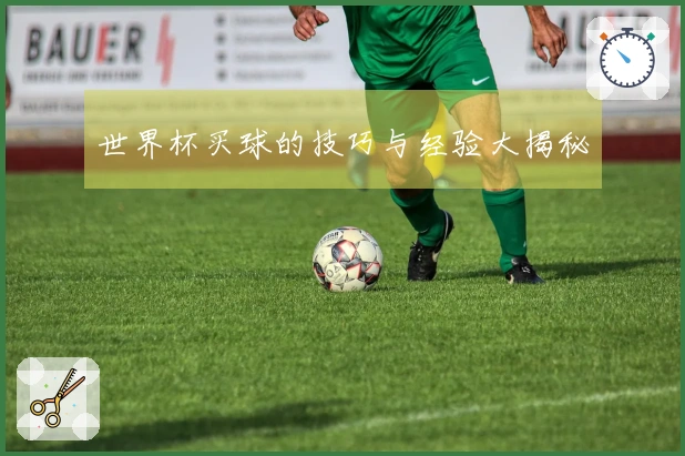 世界杯买球的技巧与经验大揭秘