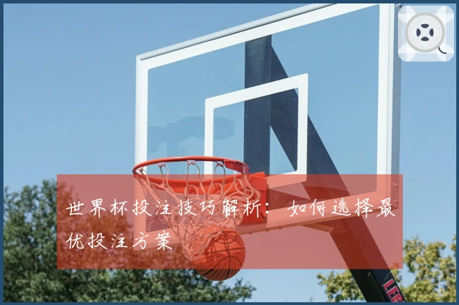 世界杯投注技巧解析：如何选择最优投注方案