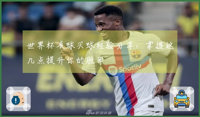 世界杯滚球买球经验分享，掌握这几点提升你的胜率