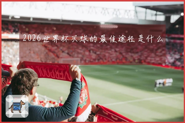 2026世界杯买球的最佳途径是什么