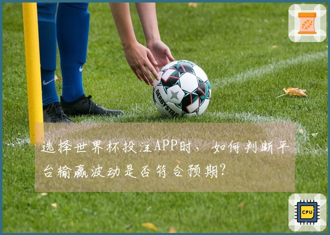 选择世界杯投注APP时，如何判断平台输赢波动是否符合预期？