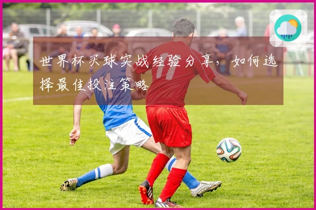 世界杯买球实战经验分享,如何选择最佳投注策略