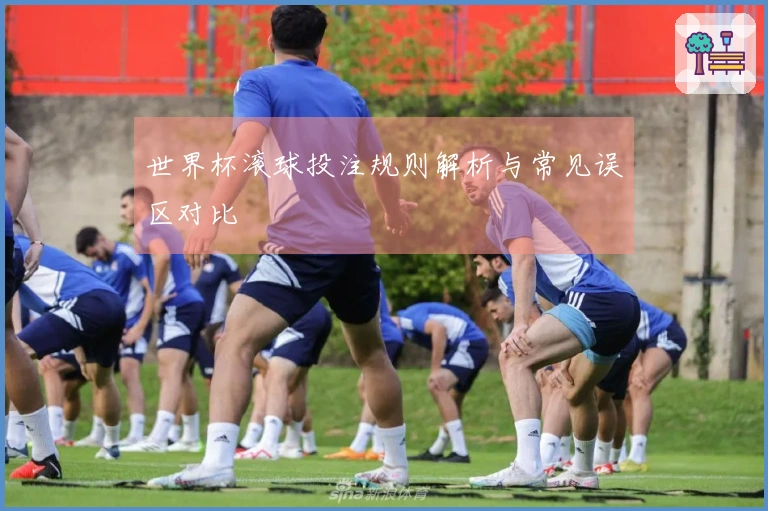 世界杯滚球投注规则解析与常见误区对比
