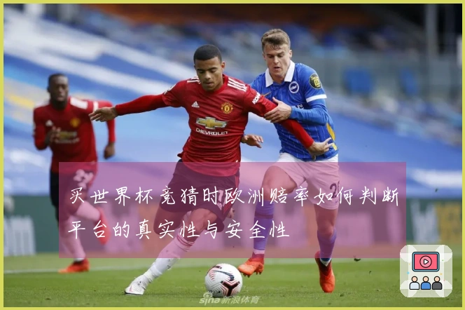 买世界杯竞猜时欧洲赔率如何判断平台的真实性与安全性