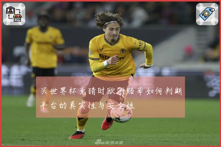 买世界杯竞猜时欧洲赔率如何判断平台的真实性与安全性