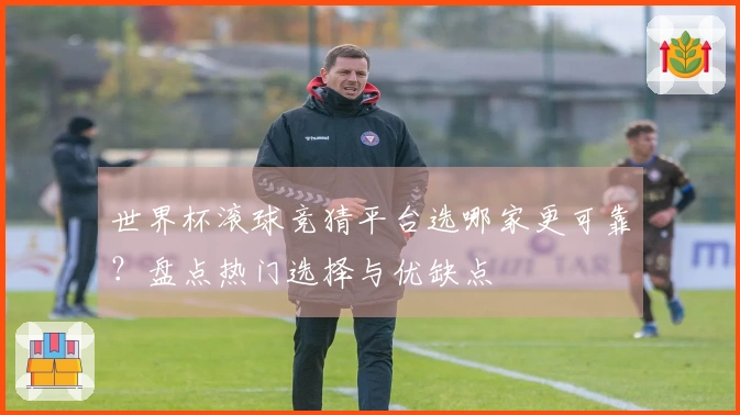世界杯滚球竞猜平台选哪家更可靠？盘点热门选择与优缺点